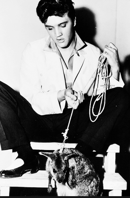 Screen shot 2014-11-01 at 8.59.11 PM