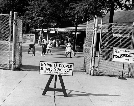 dr. ernest c. withers, overton zoo, memphis, 1950s