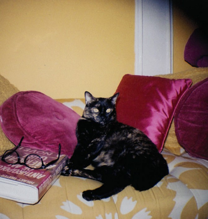 5094255985_37bc129859_b