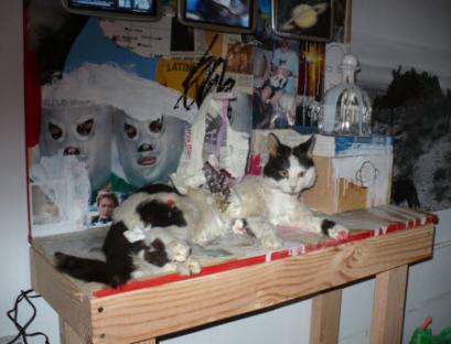 james franco art project