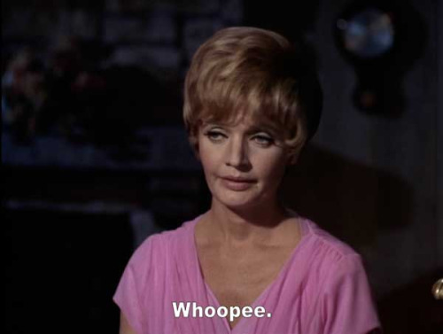 tumblr_lwd6whdcwb1qfacmco1_500